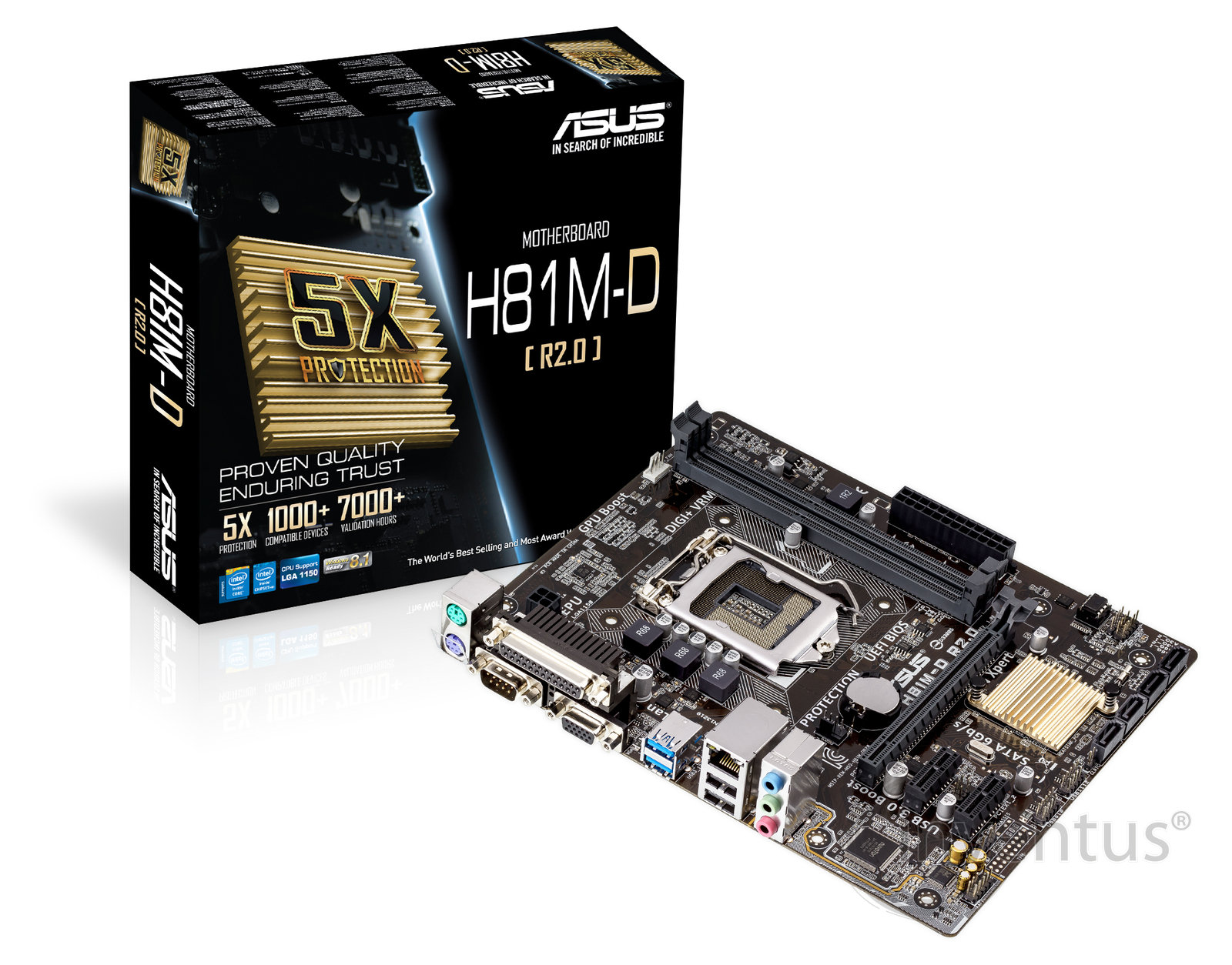 ASUS H81M-D R2.0 anakart - inventus